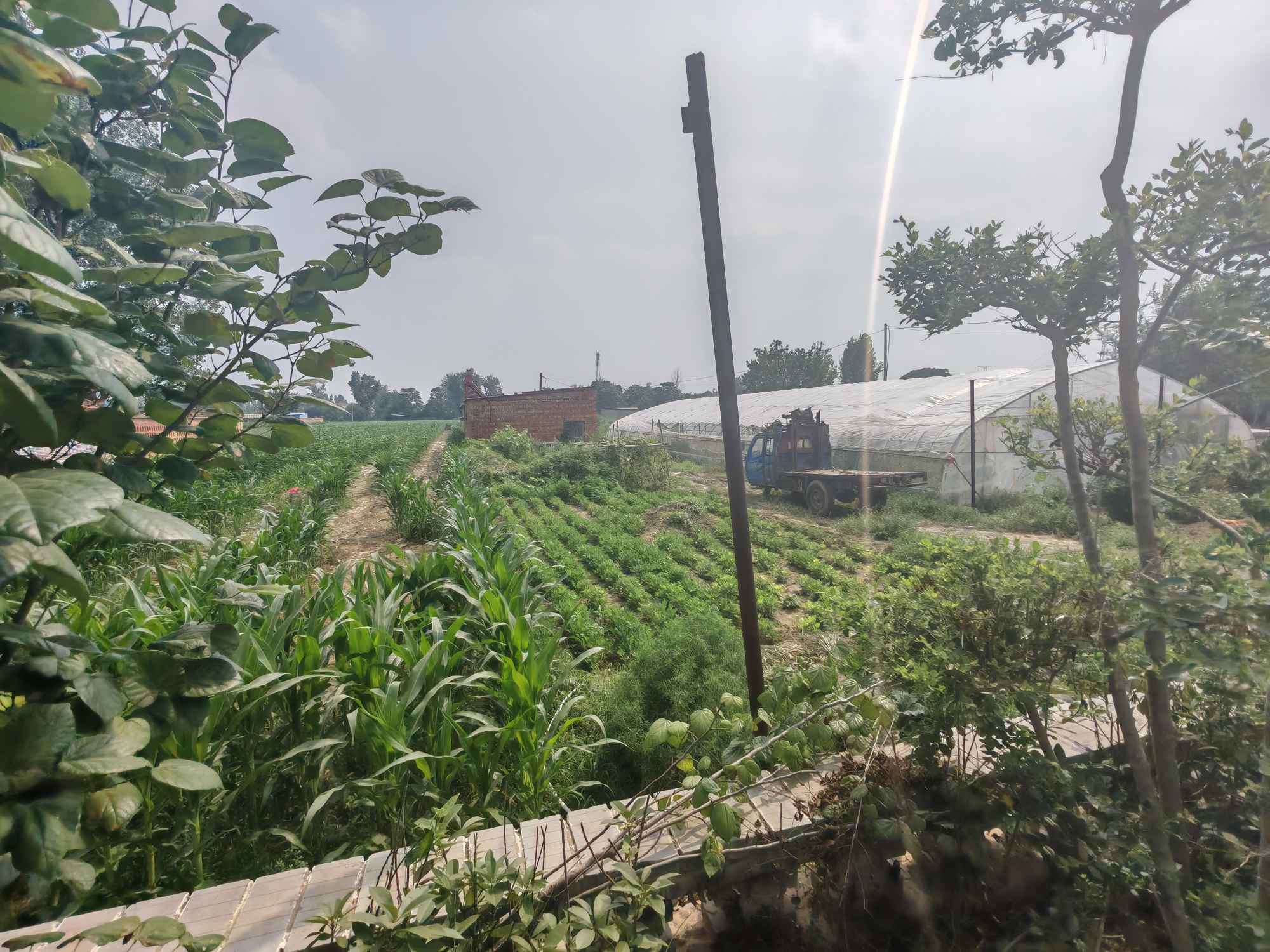 ���h�l(xi��ng)�����d֮�У�����־Ը����ʷ�̡��ɹ�һ�ˡ��a(ch��n)�I(y��)�l(f��)չ