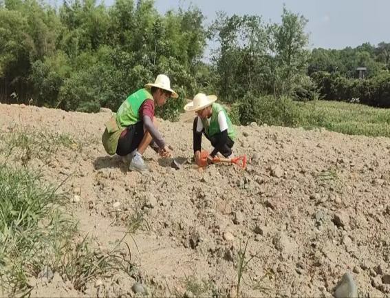 �y������΢�����Ƽ�����