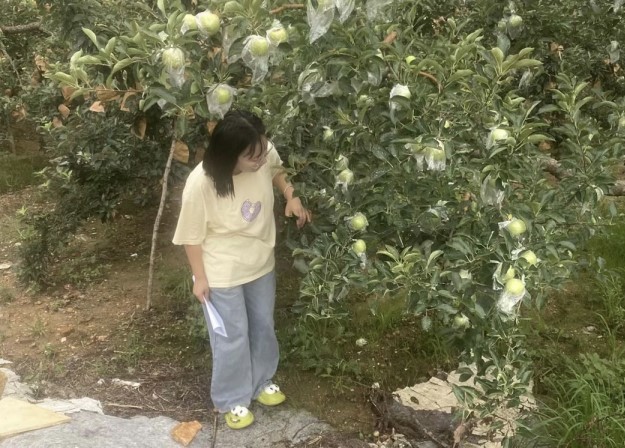 �������ӣ�̽�������ֹ���