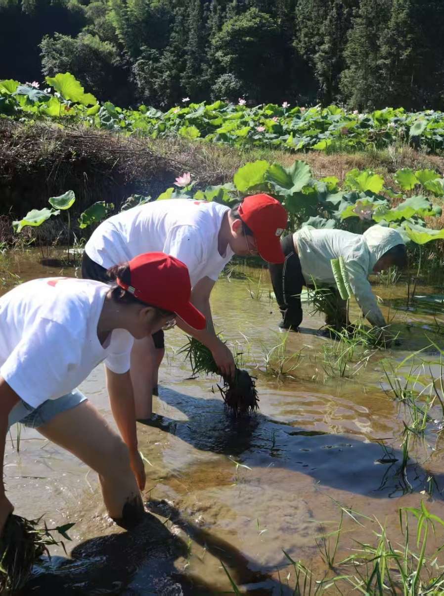 ���g���݄��� �`�ЄڄӾ����Ͻ��W�������l���`������R�ִ��r��