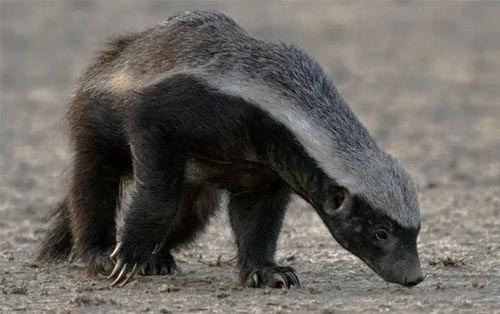 ����Ђ��á���n��