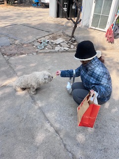 �Ͼ�������W(xu��)̩�݌W(xu��)Ժ���g(sh��)�W(xu��)Ժ��������ɫ�ʣ�׌��(��i)�����ˡ��P(gu��n)��(��i)���˄�(d��ng)�����(hu��)��(sh��)�`