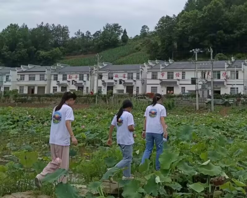 ̽���񾎵�ӛ���� (t��ng)���z���L(f��ng)����