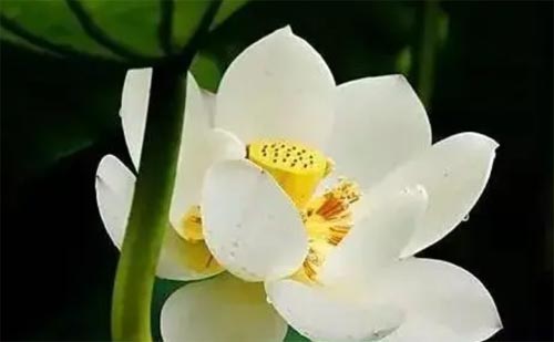 ������