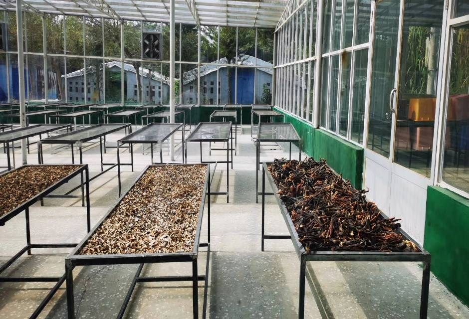 ��a�`֥��̽����߅�Ĵ�ʳ���^