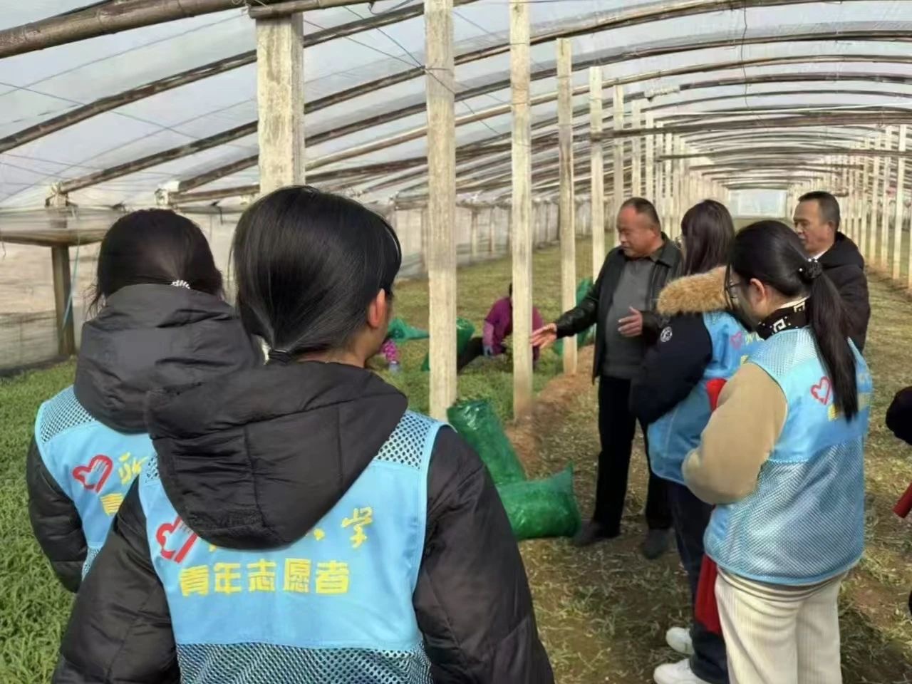 �ĳǴ�W���W�����WԺů�����s־Ը������e�k��Ұ�˷Nֲ�����㣺���i����Ȼ�еľGɫ���ء�����l�ˡ����