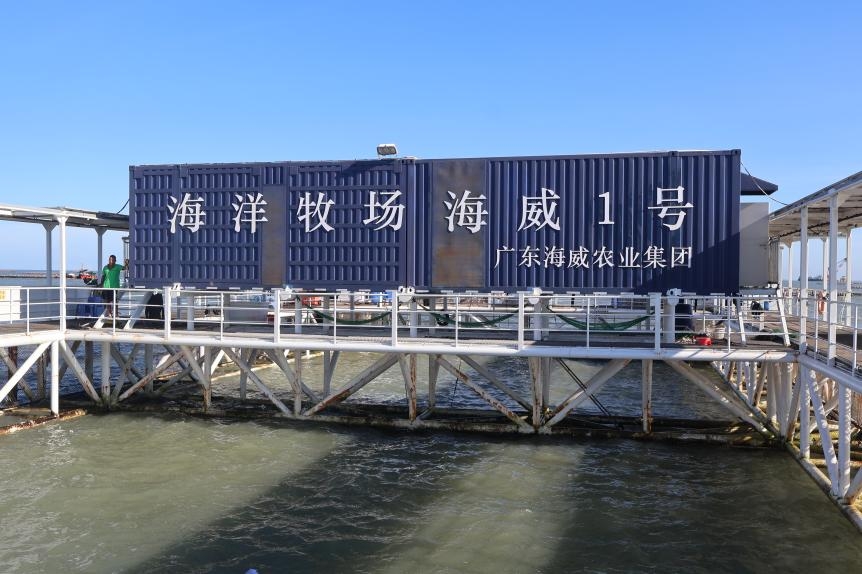 ������С�ͻ���:�����������|���a���������������O