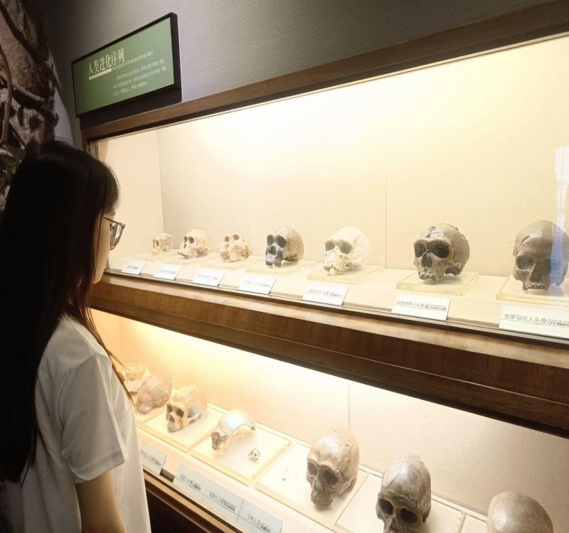 �����^���h(yu��n)�����(l��i)