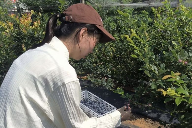 ���c������W�W�ӹ������У�־Ը�����{ݮ�lչ