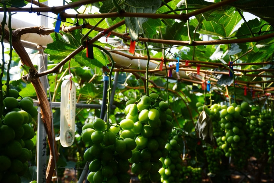 �ഺ�x��һ���У��������l(xi��ng)���d��(m��ng)