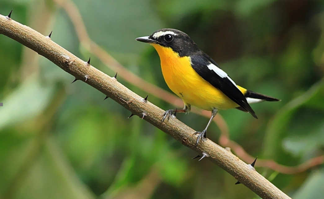 �Ϻ��W(xu��)�ӽM꠸��������}���_չ�B��o������`��� �˽����B(t��i)������h(hu��n)����·