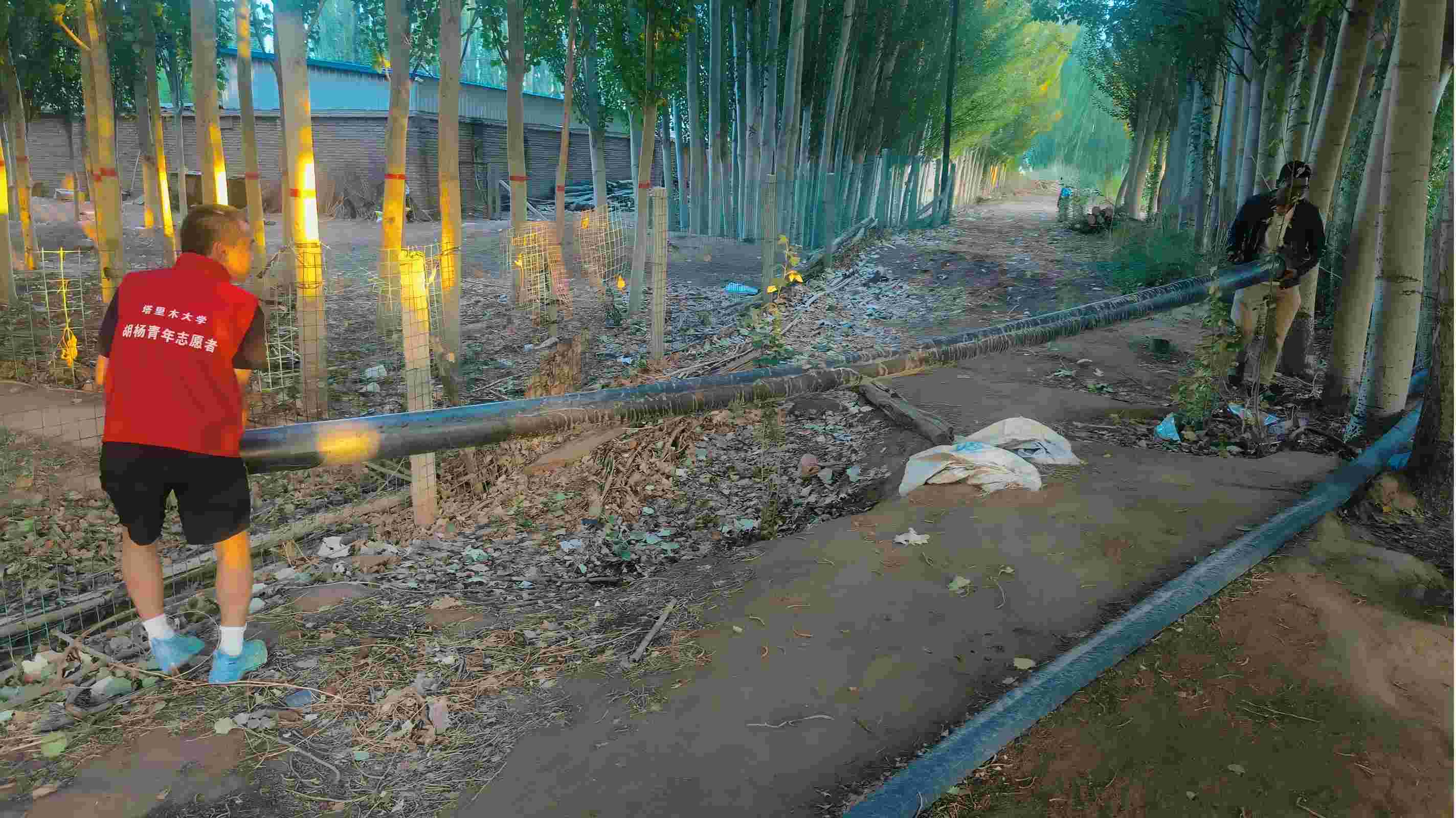 �cС���i��������@ι�B(y��ng)����