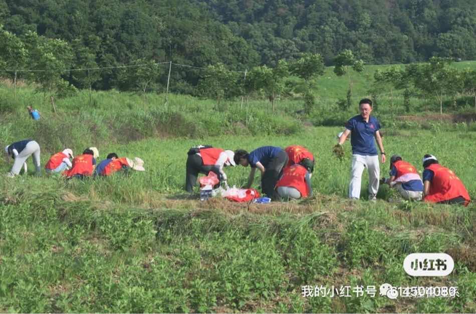 �x��(w��)����չ�L(f��ng)�� �l(xi��ng)�����d�����O(sh��)