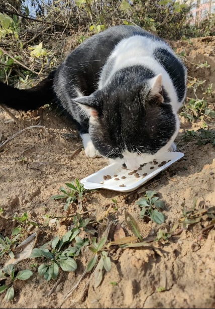 ������ɫ����׌�۲����ˡ����������˄���