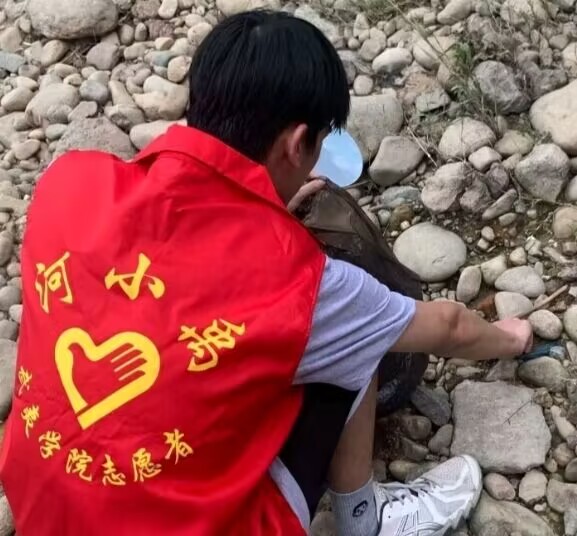 ����һ���o�Ӻ�����