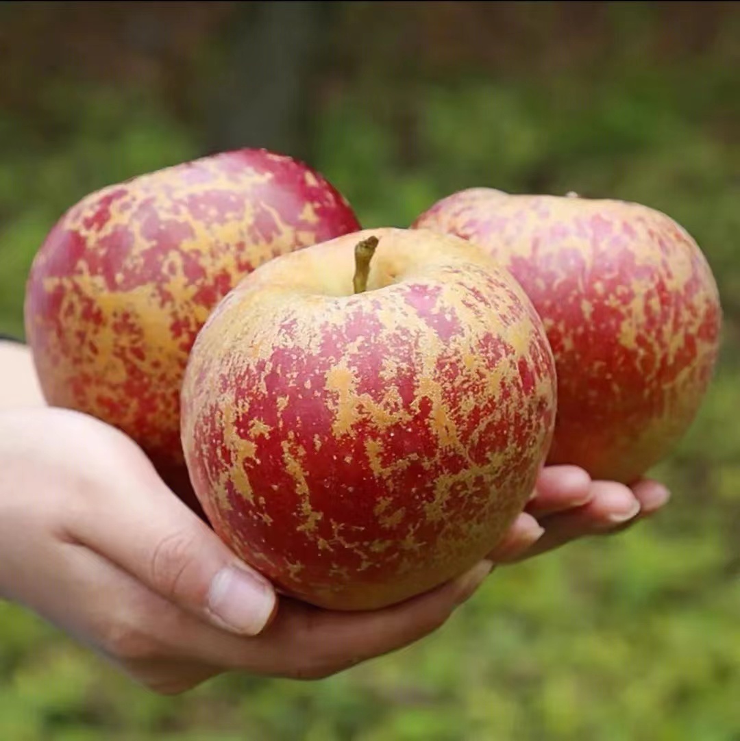 �Ĵ��}Դ�O������Ȼ����ٛ(z��ng)���������x��