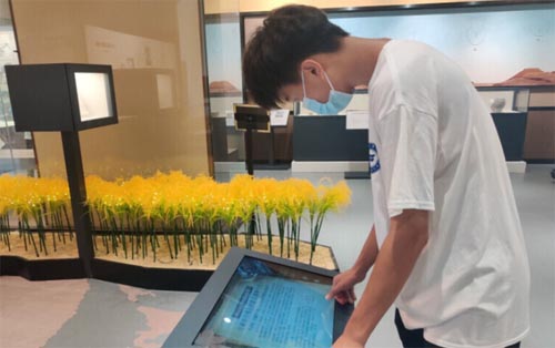 ���M�Rᷲ����^ ̽���vʷ�Ĵ�