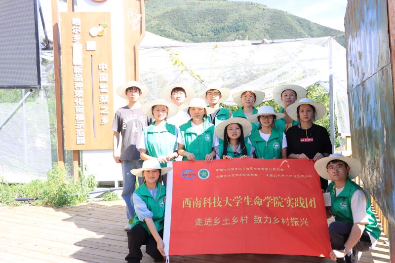 ��ѩ���ý��������¸���оƬ���������ϿƼ���W�Ƽ������l(xi��ng)�����d���`�F����������`