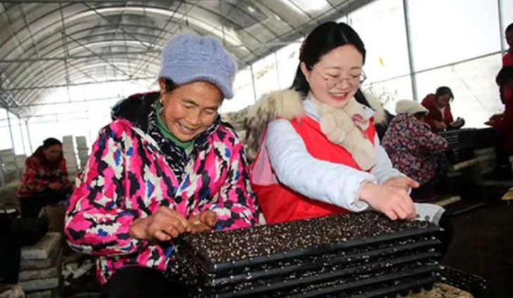 �ഺ��(sh��)�`����(m��ng)�h(yu��n)��