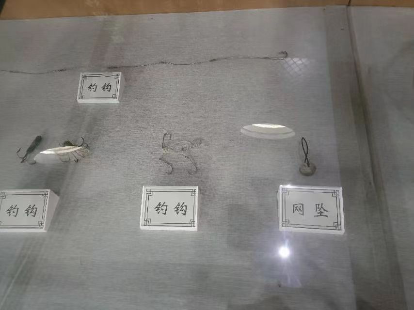 ̽�Lꖖ|�O�Ҳ����^ ���ܯD�һ����L����