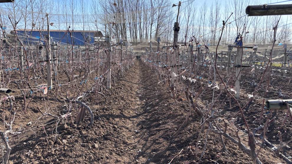 �r�Ǆ����{�ЈF�_չ�����{�л��