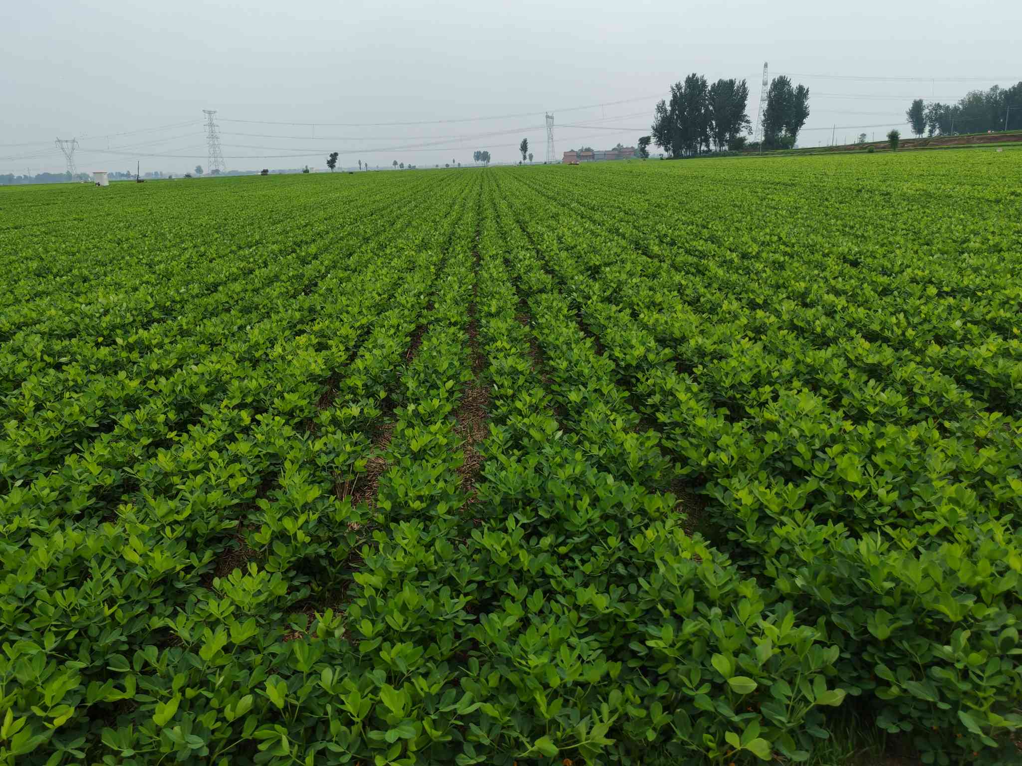 �ഺ����Ұ�g�`��:����������S�ո�