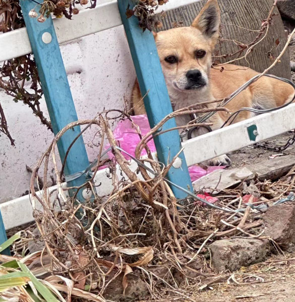 ��������ɫ����׌�۲����ˡ�����������`��桪���P�����˄���