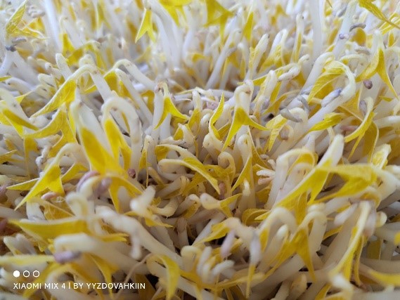 �f���R�lѿ���ȣ��Gˮ��ɽ��ʳ������������W���W��ʳ���ЌW������`�֮��ѿ��ʳƷ��ȫ�c�I�B�Ї���