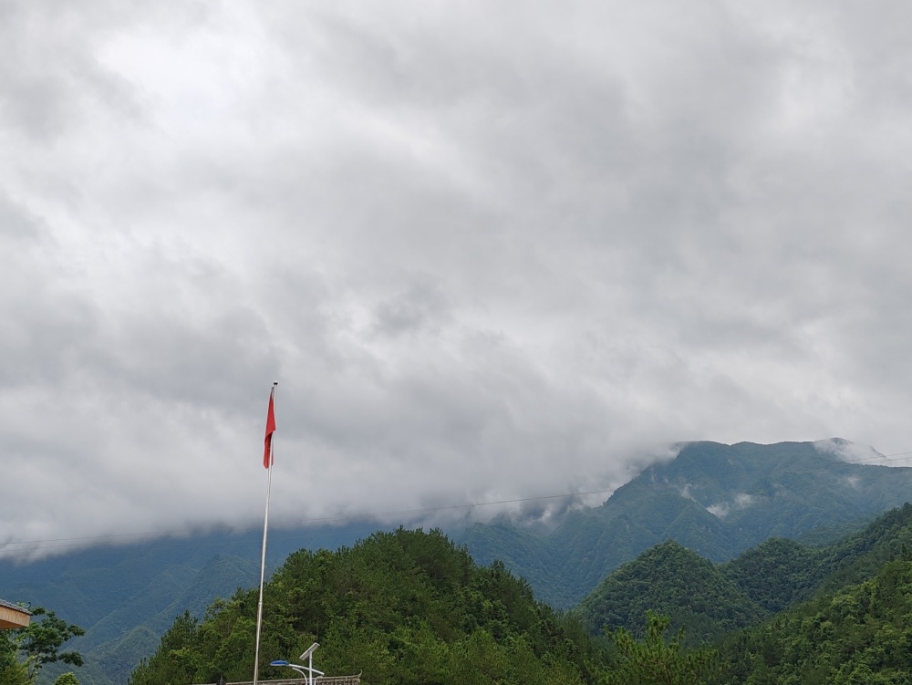 �����t·�������m�������A��