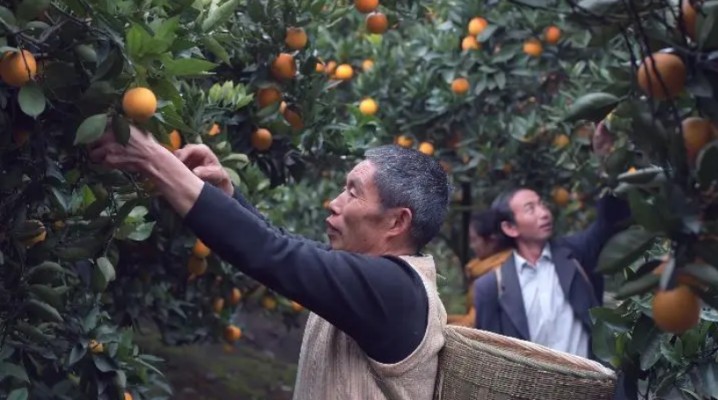 �o�˙C����ɽ�l�����w�����h�f��