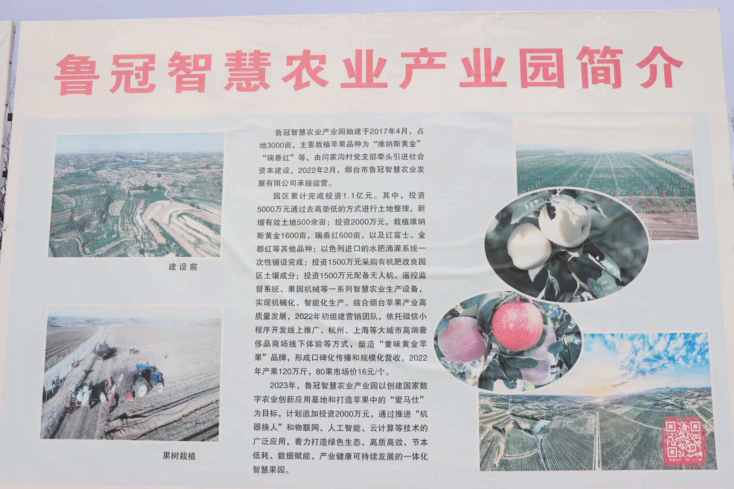 ��S�Ȕ�(sh��)�ֻ�����Ϣ�����O(sh��)�(q��)��(d��ng)�l(xi��ng)���g��