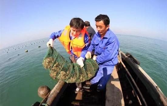 �l�弼�g���d�����ڱ���