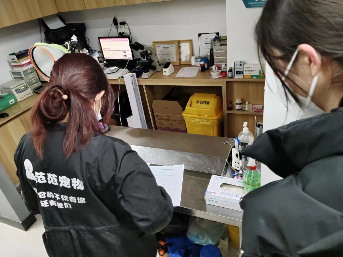 ɽ�|��W��Ĥ�ǽ����`�{(di��o)�ЈFǰ�������Ќ����t(y��)Ժ�����{(di��o)��