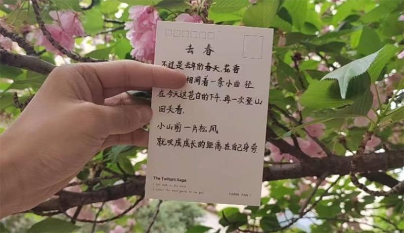 У������x�������e�k���g�ġ�醡���F��Ԋ�脓�����