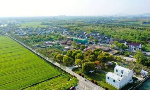 �l�����d���`�У��ƵZǰ��չ��ƪ