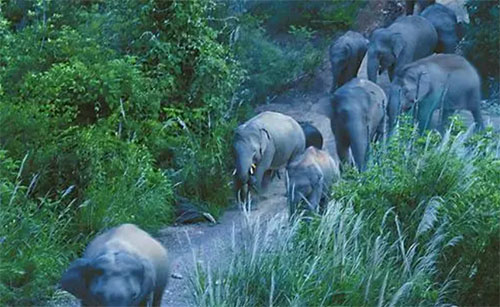 ����Ⱥ���ˡ��p��