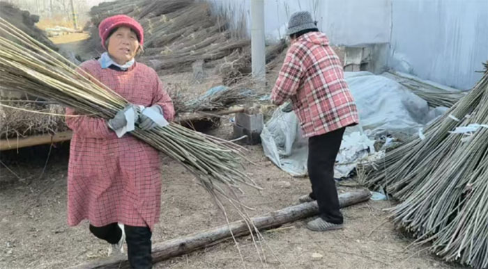 ɽ�|ʡ�R��h�����z���������l�����d