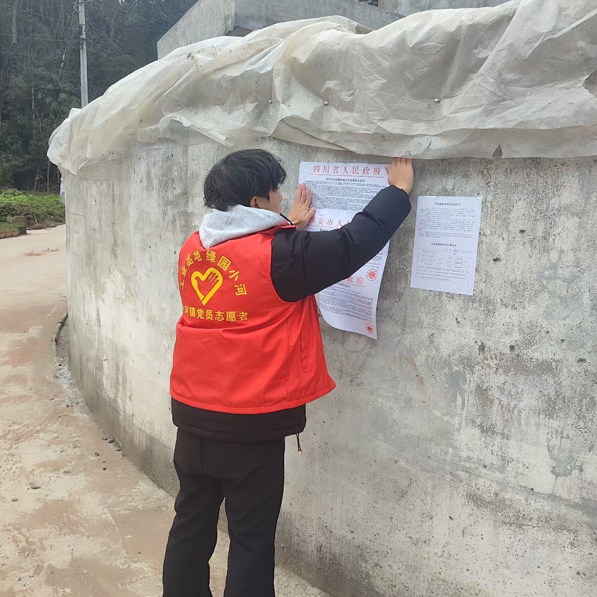 Ͷ���������������o���l��ɽ������W�����cɭ�ַ��������и�