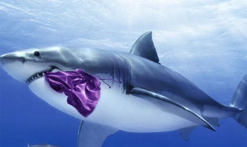 �����Ĝ���