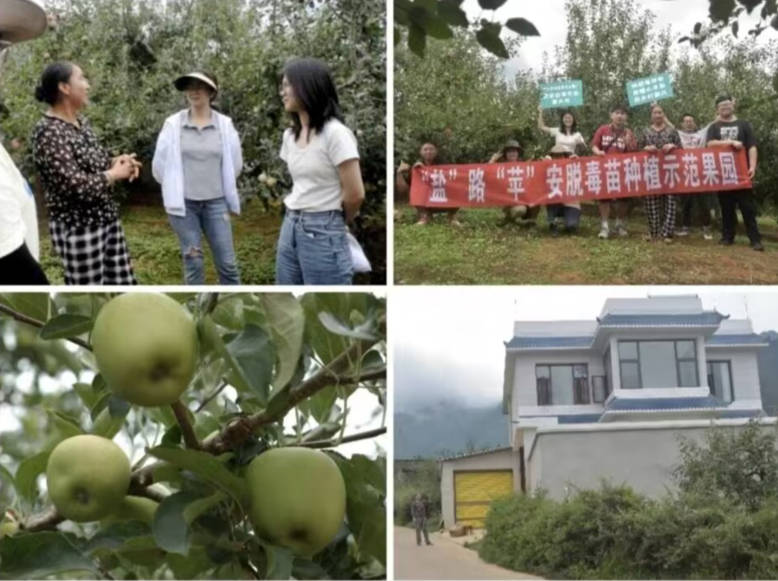 ���M�}Դ���@ ,���`�_��δ��