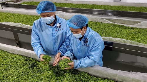 ���W�WԺ����ɽ�h���Ļ��{�ЈF�ǰ���Gɫ�̳����L�{��