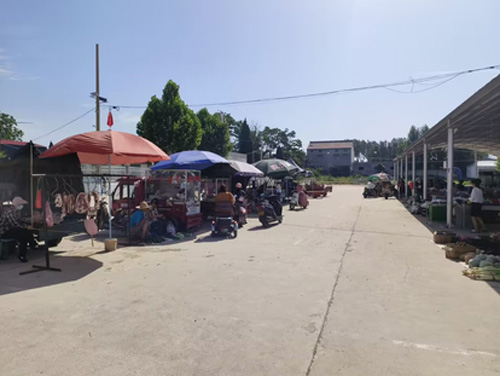 ����������W(xu��)�����ۡ���(sh��)�`�F(tu��n)�(du��)7��11�ո�����l(xi��ng)�_չ�{(di��o)�л��(d��ng)