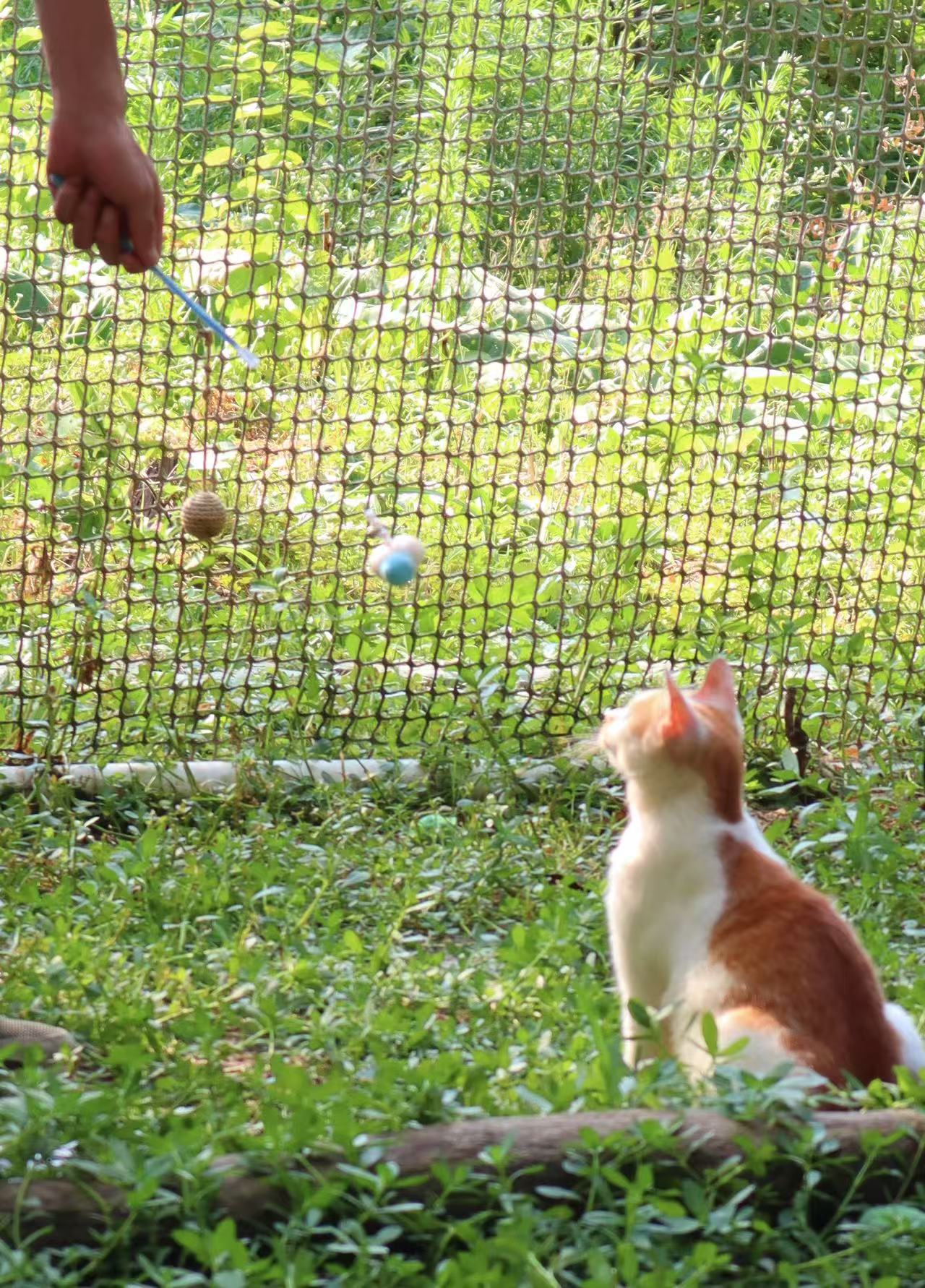 צӡ��Ĝضȣ�һ���c�����Ĝ�������