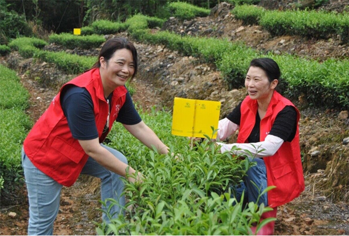 �����r����:�ͿƼ����l �����r����