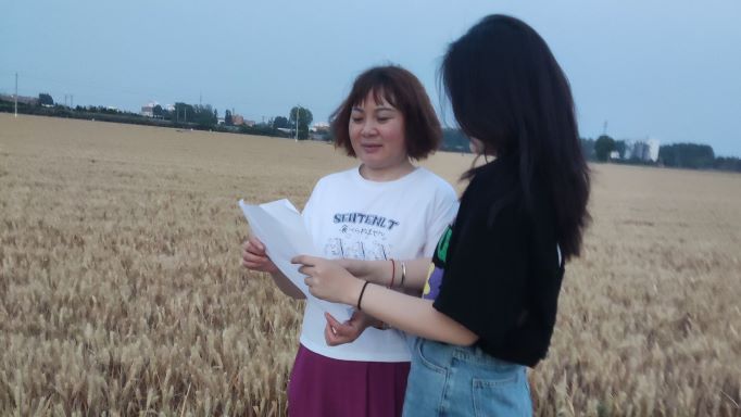 ��΢������������l�����