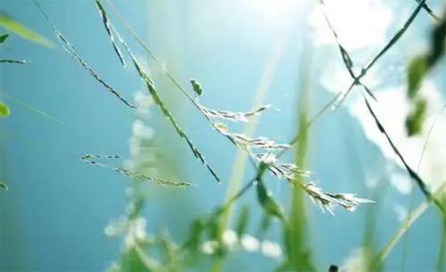 ��Խ�vʷ�L(zh��ng)�������ゃ��Ҋ