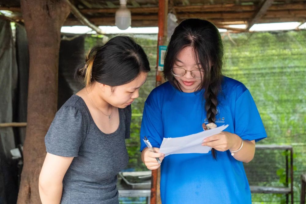 ���ײ����{���У�̽�����z�����}�j