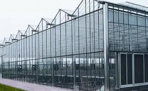 ��������nω