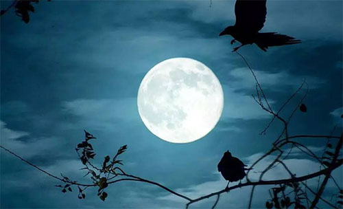 ��������е����v��500�֣�ͨ��4ƪ��