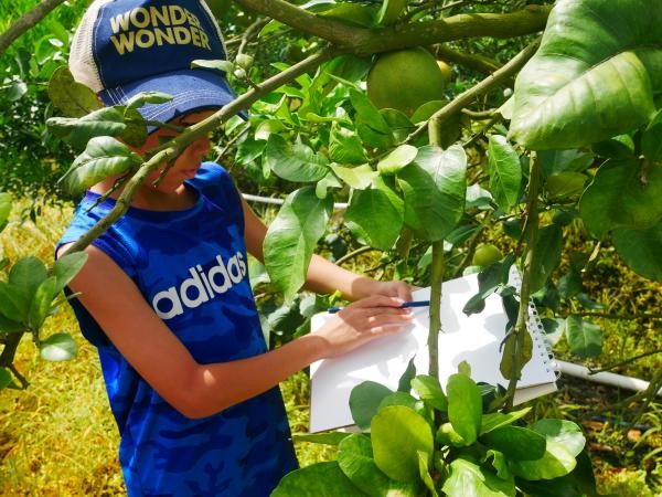 ����n����ͯ�ģ�ʢ��Ξ�������� �����A�ώ�����Wʢ��Ξ���x���`������_չ��������ϵ���n��